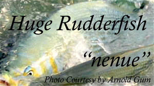 Rudderfish.PNG