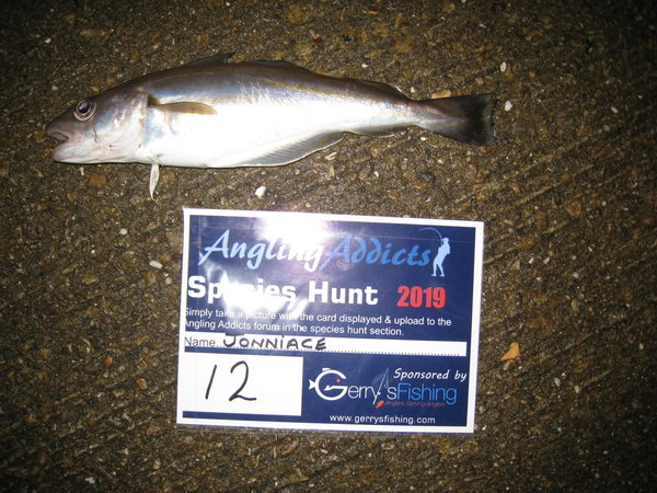 No 2, Whiting. Gynn Wall. 19-1-2019..JPG