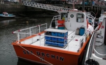 Sea Urchin II – Whitby
