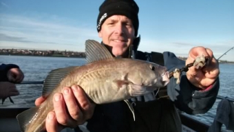 Supreme Charter – River Mersey Madness