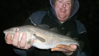 Hall road Crosby Cod