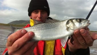 Cumbrian Capers – Silecroft bass fishing