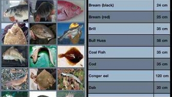 New Fishing App for Apple iPhone iPad and iPod touch