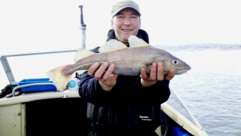 Cod and Rays in the Mersey