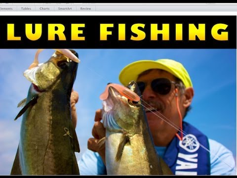 Lure Fishing for Pollock - Ireland Pollack Fishing - Angling Addicts